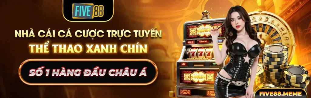 Chính sách cookie của open 888